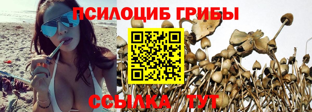 Галлюциногенные грибы прущие грибы Дагестанские Огни
