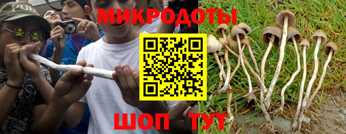 Псилоцибиновые грибы Psilocybe  Псилоцибиновые грибы Magic Shrooms  Вход с VPN  Дагестанские Огни 